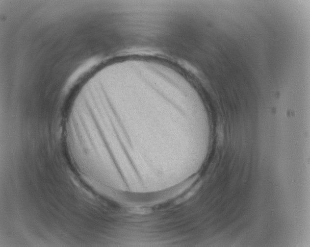 X0000082681406200702232126