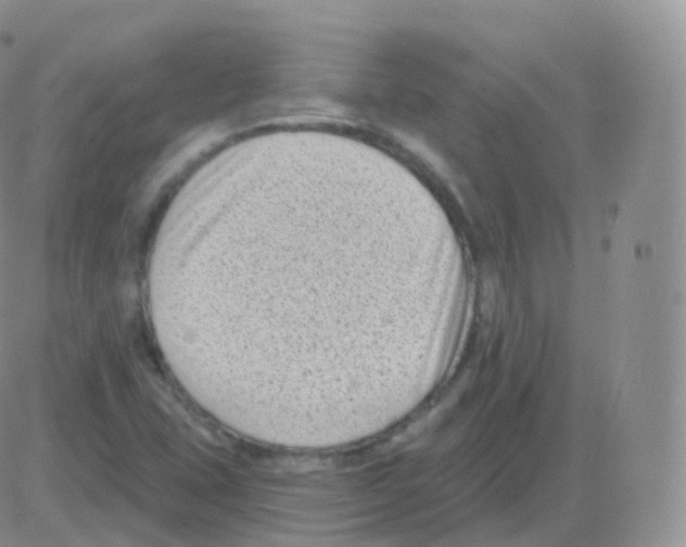 X0000082681407200702232126