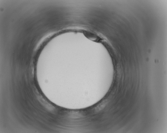 X0000082681408200702232126