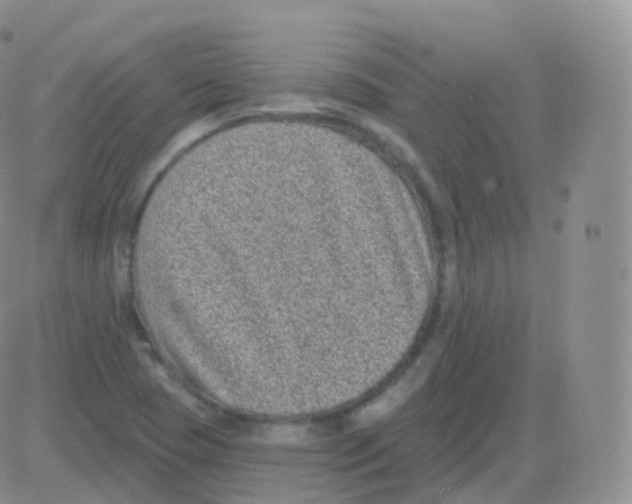 X0000082681409200702232126