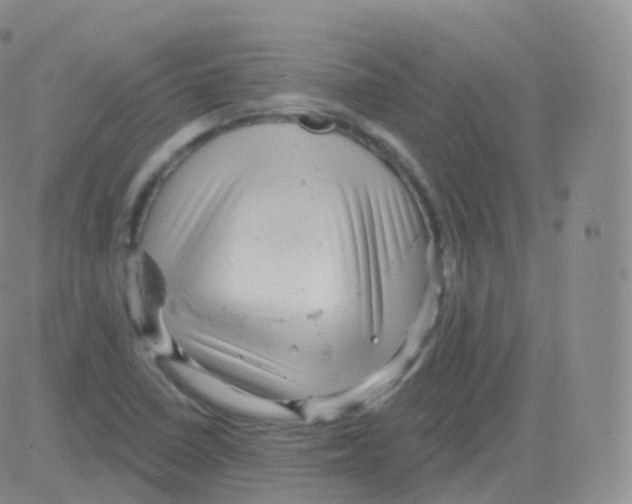 X0000082681410200702232126