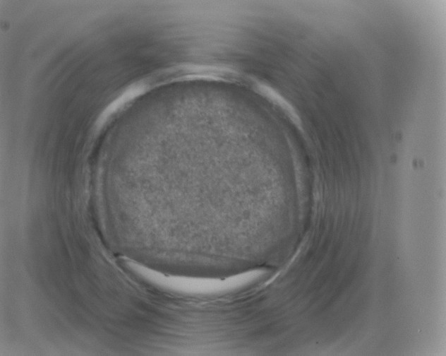 X0000082681411200702232126