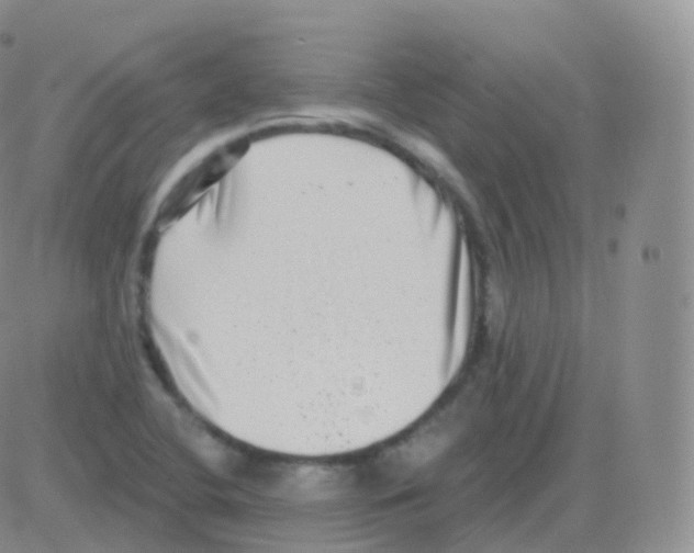 X0000082681412200702232126