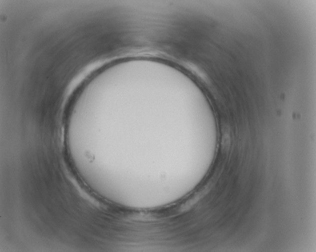 X0000082681414200702232126