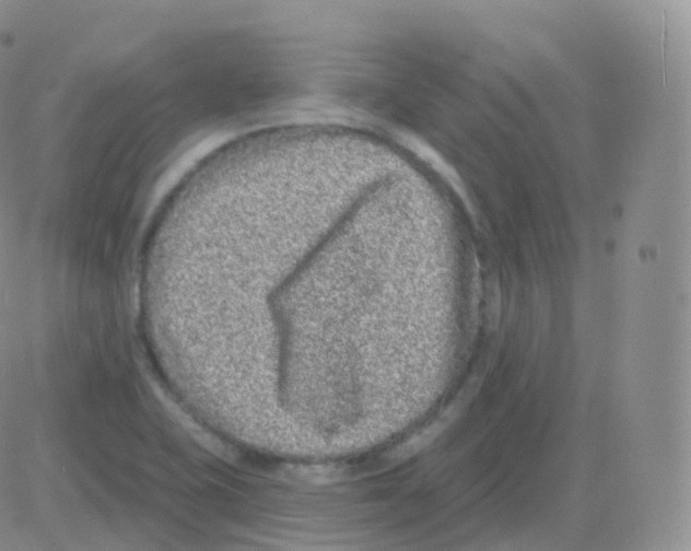 X0000082681415200702232126