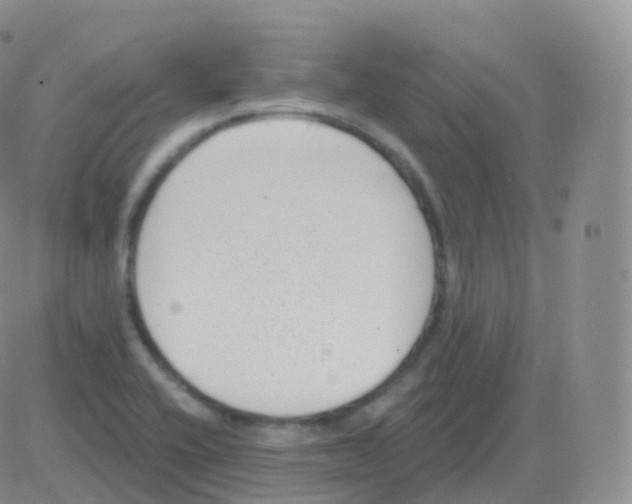 X0000082681416200702232126