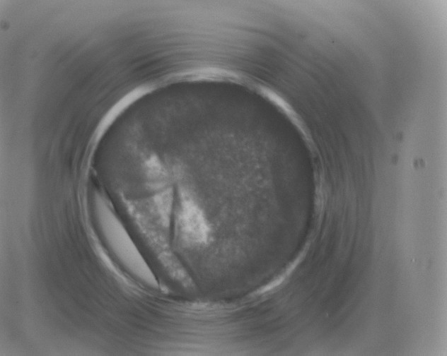 X0000082681418200702232126