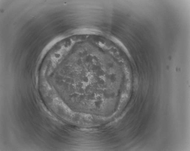 X0000082681419200702232126