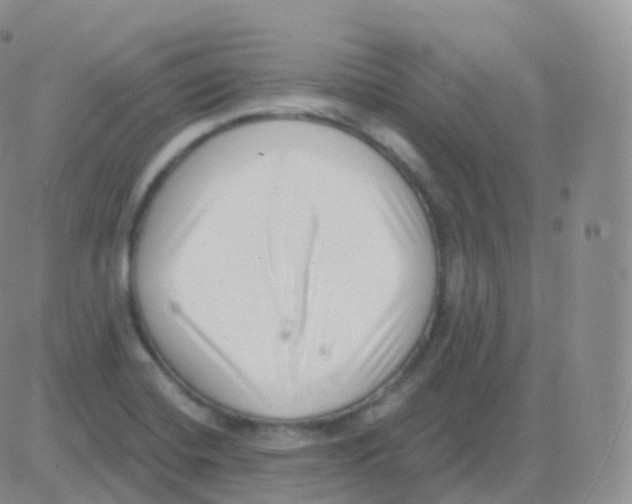 X0000082681420200702232126