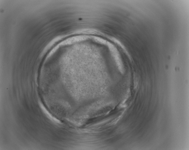 X0000082681422200702232126