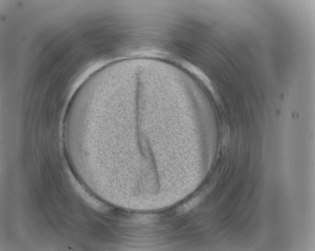 X0000082681423200702232126