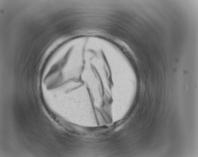 X0000082681424200702232126