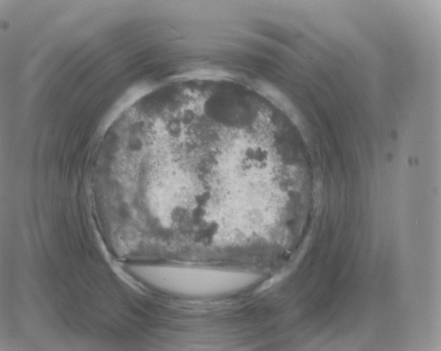 X0000082681425200702232126