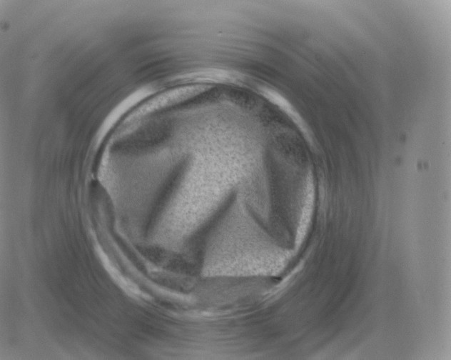 X0000082681426200702232126