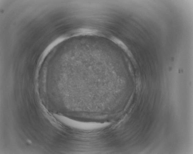 X0000082681427200702232126