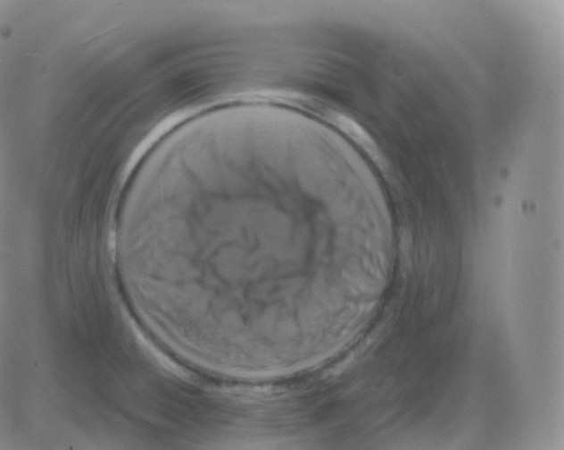 X0000082681428200702232126