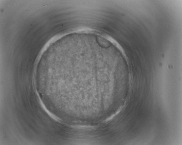 X0000082681429200702232126