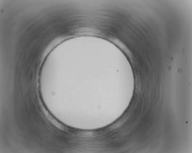 X0000082681431200702232127