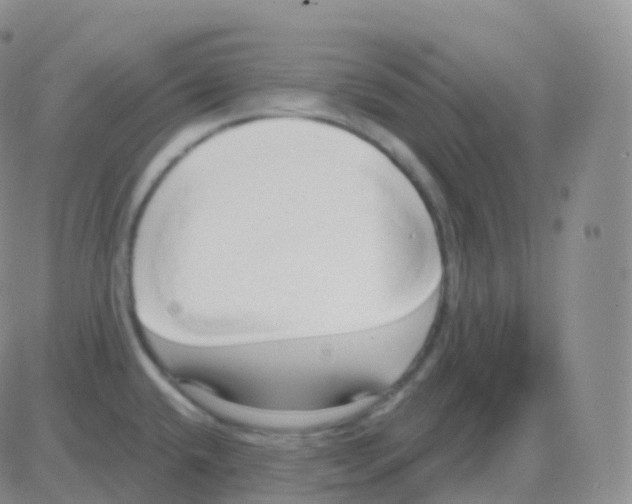 X0000082681432200702232127