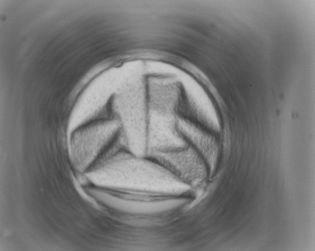 X0000082681433200702232127