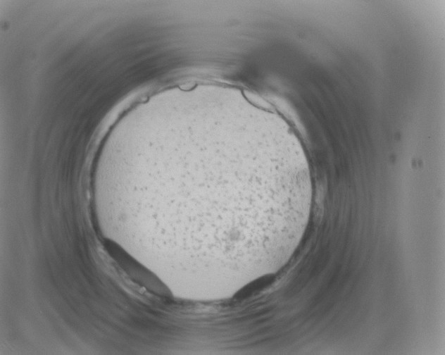 X0000082681435200702232127