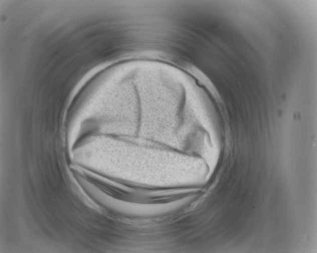 X0000082681436200702232127