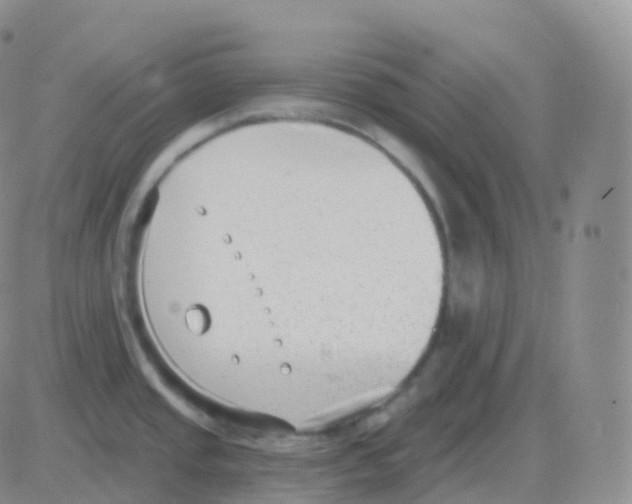 X0000082681437200702232127