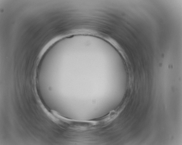 X0000082681438200702232127