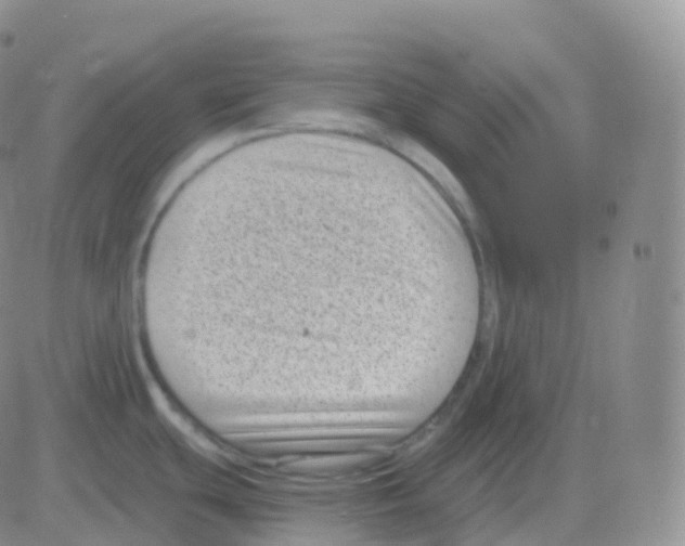 X0000082681439200702232127