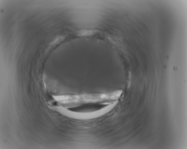 X0000082681441200702232126