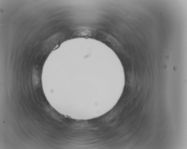 X0000082681442200702232126