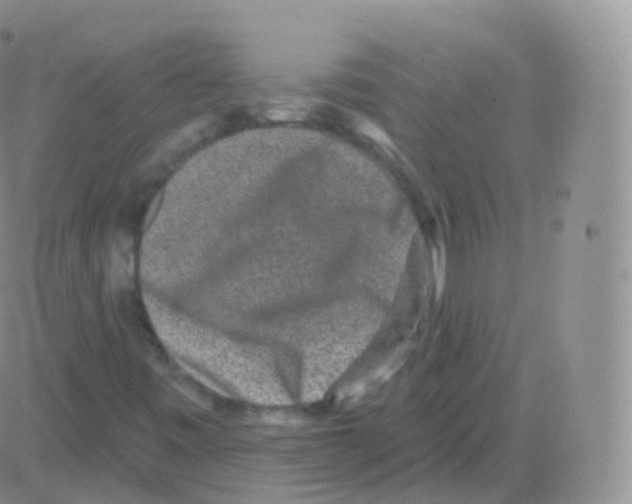 X0000082681443200702232126