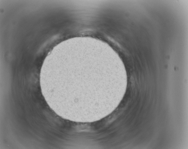 X0000082681447200702232126