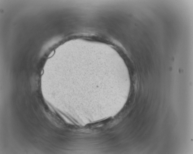 X0000082681448200702232126