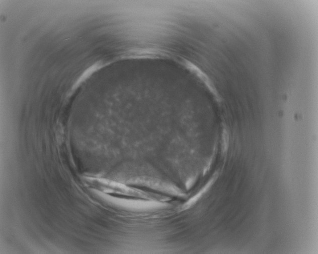 X0000082681449200702232126