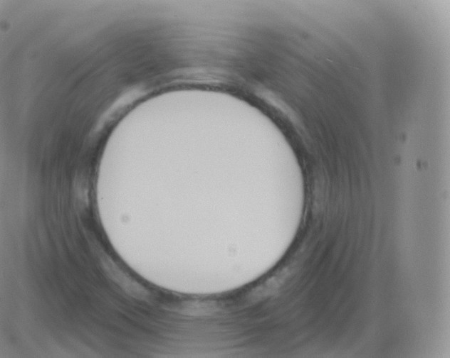 X0000082681451200702232126