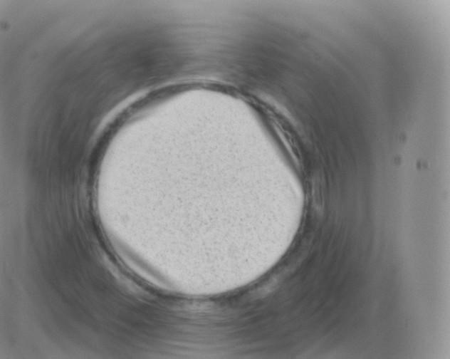 X0000082681452200702232126