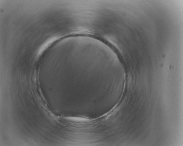 X0000082681455200702232126