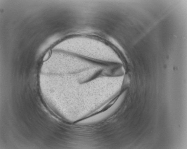 X0000082681456200702232126