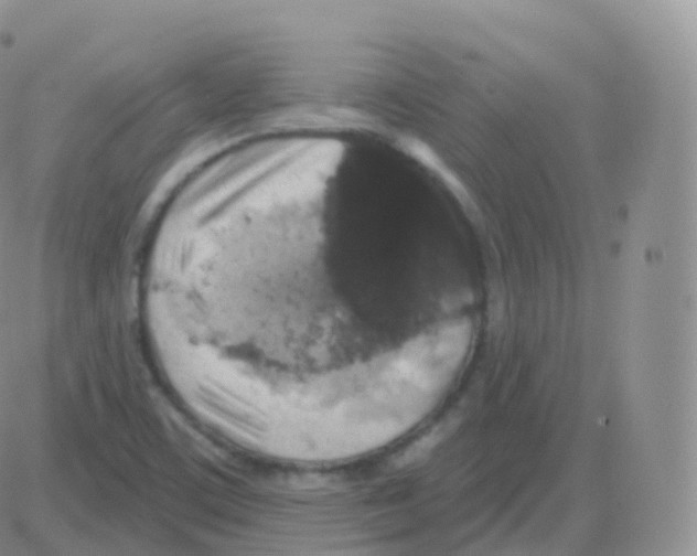 X0000082681459200702232126