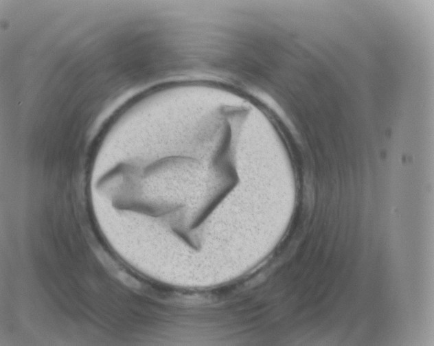 X0000082681460200702232126