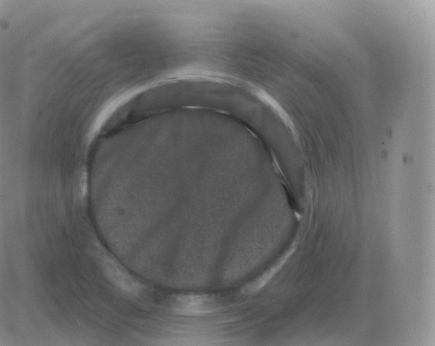 X0000082681461200702232126