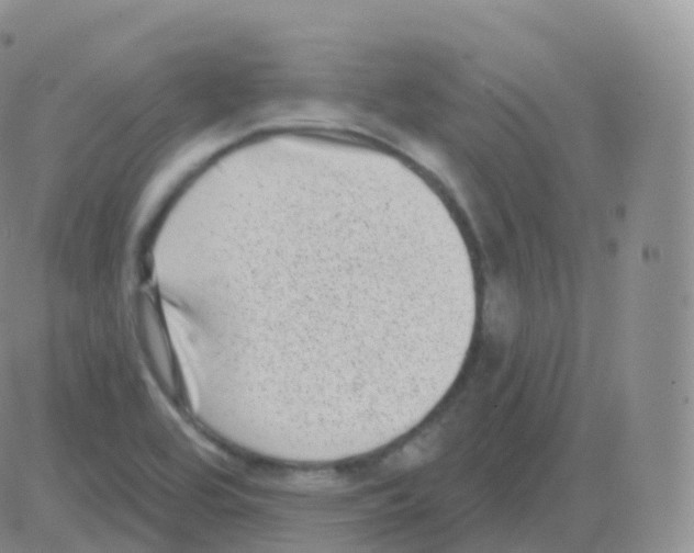 X0000082681464200702232125