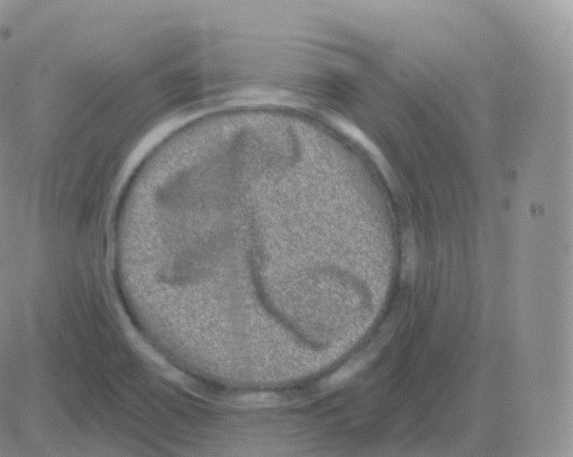 X0000082681467200702232125