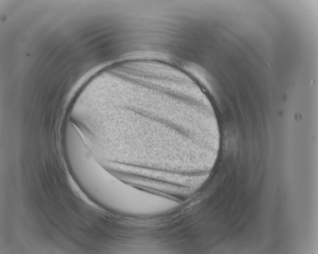 X0000082681468200702232125