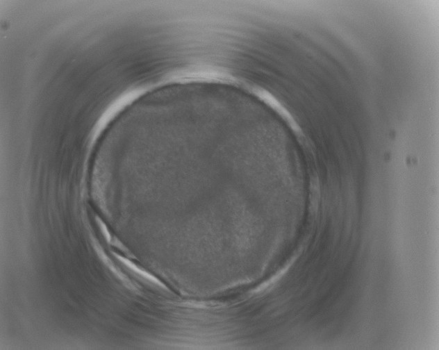 X0000082681469200702232125