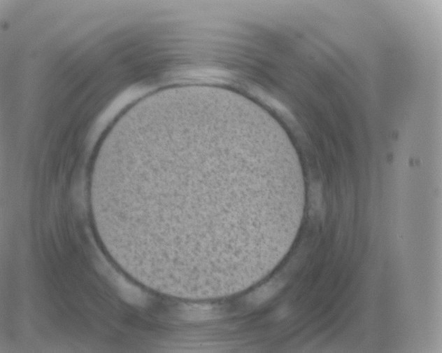 X0000082681470200702232125