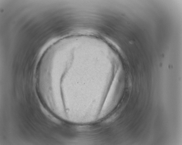 X0000082681471200702232125