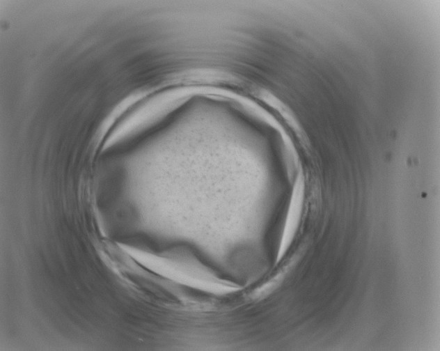 X0000082681473200702232125