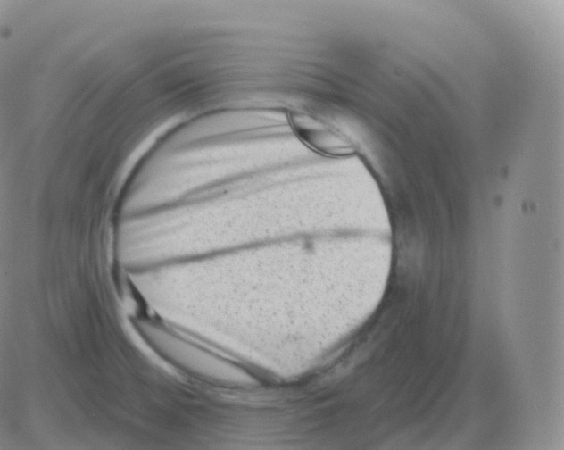 X0000082681476200702232125